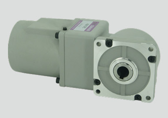 (R系列)感應(yīng)電機(jī)25W直角微型減速電機(jī)