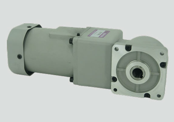 (R系列)感應(yīng)電機(jī)90W直角微型減速電機(jī)