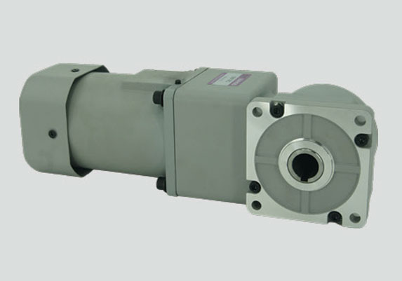 (R系列)感應(yīng)電機(jī)180W直角微型減速電機(jī)